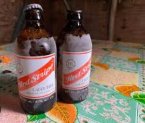 photo 2026 04 06 12 38 51