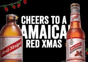 photo 2026 04 06 12 39 12