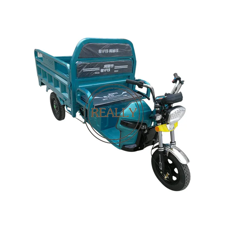 OEM 3 Wheels Electric Tricycles High Load Agricultural Van Cargo Bike Bajajs Motorcycle Vehicle for Delivery and Cargo - Image 3