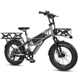Fucare 48V 20AH 750W 33MPH Electric Hybrid Bicycle 20 Inch Electric Fat Tire Bike with Rear Hub Motor CA Stock Free Shipping